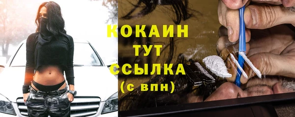 ALPHA PVP Богородицк